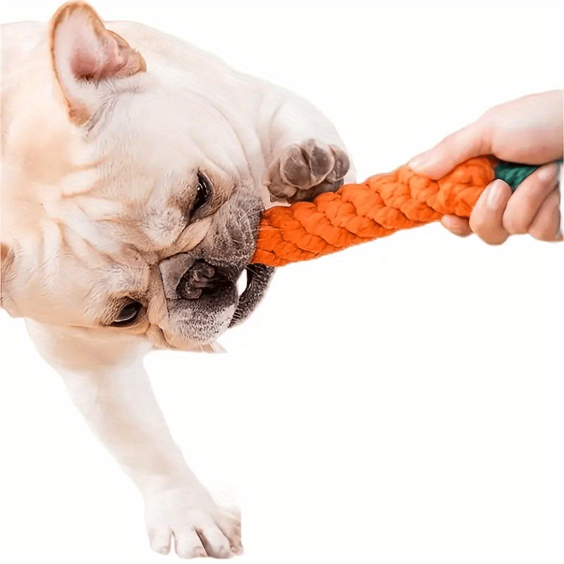 H&K Carrot-Shaped Dog Toy with Tassel – Tear-Resistant Tug & Chew Toy