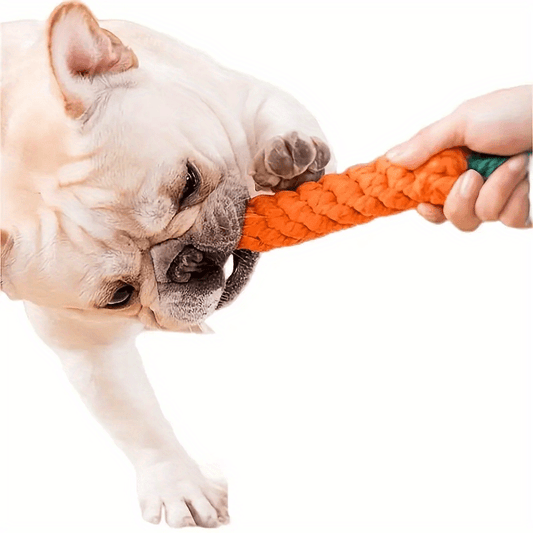 H&K Carrot-Shaped Dog Toy with Tassel – Tear-Resistant Tug & Chew Toy