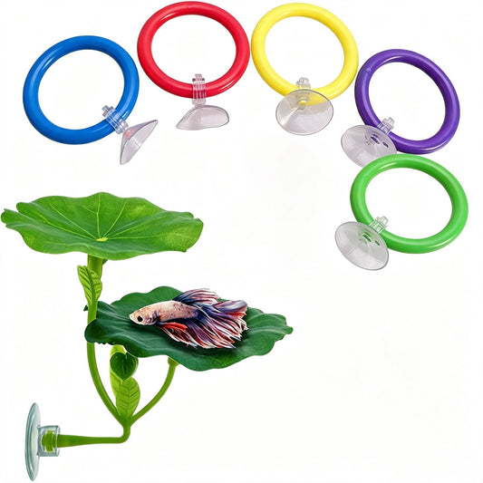 H&K Betta Fish Toy Set – 6-Piece Rings & Puzzle Toys for Fish Tanks